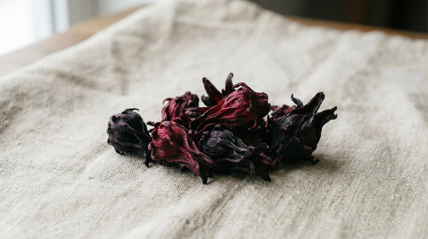 Dark Hibiscus Flowers