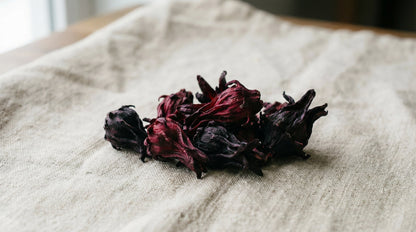 Dark Hibiscus Flowers