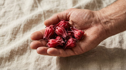 Candied Light Hibiscus