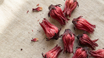 Candied Light Hibiscus – Kandierte Hibiskusblüten, Khan's Wien