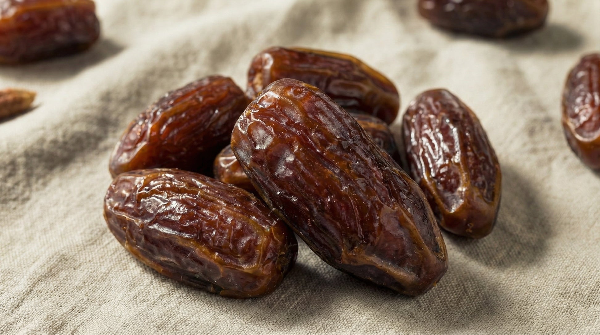 Medjool Dates – Frische Medjool Datteln Premium, Khan's Wien